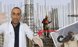 Diyarbakır’da bir başarı hikayesi; İnşaatçılıktan akrep zehri üretimine geçti