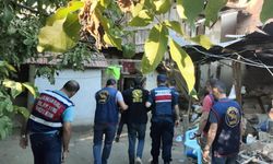 Babaannesini tüple başına vurarak öldürdü