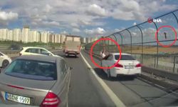 Kediyi kurtarayım derken canından oluyordu