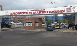 Mardin'de ağaçtan düşen muhtar ağır yaralandı