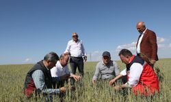 Diyarbakır Sur Ziraat Odası Başkanı Demir’den kuraklık uyarısı