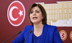DEM Parti’li Beştaş’tan cezaevleri için Ombudsman başvurusu