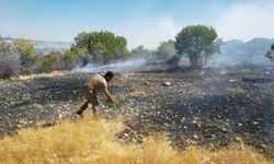 Diyarbakır’da Piran Xaçek köyünde korkutan yangın