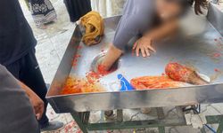Genç kız elini salça makinesine kaptırdı