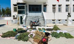 Şanlıurfa'da uyuşturucu operasyonu