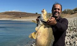 21 kiloluk dev sazan balıkçıya teslim oldu