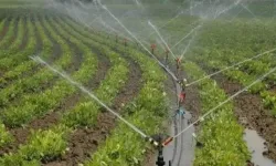 "Elektrik değil, sulama krizi kapıda"
