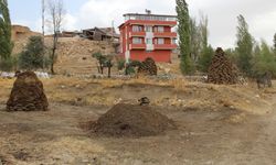 Erzincan’da kışlık tezek hazırlığı