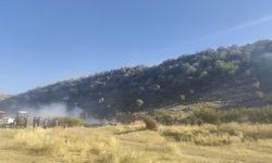 Diyarbakır’da anız yangını ormanlık alana sıçradı
