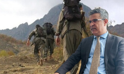 Diyarbakır Barosu Başkanı Güleç: PKK yöneticileri de affa dahil edilmeli