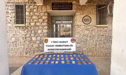 Kaçak altın ve sigara operasyonu