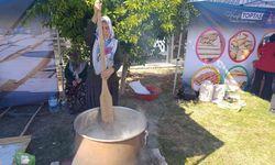 Kahramanmaraş'ta geleneksel bağ bozumu festivali