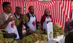 Batman’da Bağ Bozumu ve Gastronomi Festivali