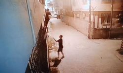 İlginç hırsızlık olayı; Kediyi çalıp fotoğraf çektiler