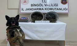 Bingöl’de 2 kilo esrar ele geçirildi