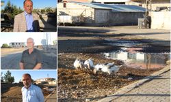 Diyarbakır’da Bulutçeker Mahallesi İsyanda