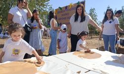 Diyarbakır’da üzüm hasadı coşkusu
