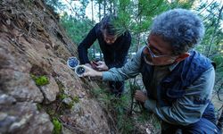 AFAD uyardı: Sındırgı’da “ölü faylar” canlandı, deprem riski artıyor