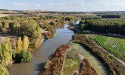 Diyarbakır’da Dicle Nehri’nin 100 kilometrelik bölümü “nehir” statüsünde değil