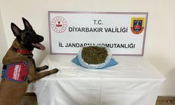 Diyarbakır’da kilolarca uyuşturucu madde ele geçirildi