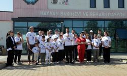 Diyarbakır’da hayvan bakımevinde anlamlı buluşma