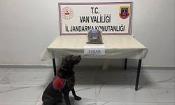 Hakkari'de kubar esrar ele geçirildi
