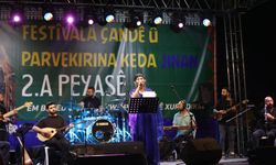 Diyarbakır’da kadın festivali renkli görüntülerle sona erdi