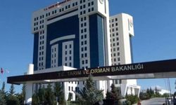 Gıda denetimlerinde 22 taklit ürün tespit edildi