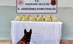 Hakkari'de uyuşturucu operasyonu