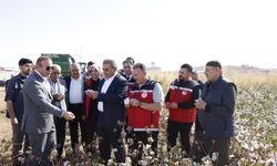 Diyarbakır’da “beyaz altın” bereketi başladı