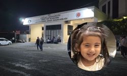 Yazar ailesinin acı günü; Minik Lina hayatını kaybetti