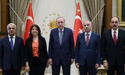 İmralı Heyeti Cumhurbaşkanı Erdoğan ile üçüncü kez görüşecek
