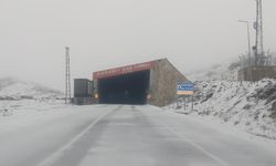Van Karabet Geçidi'ne mevsimin ilk karı düştü