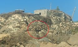 Mardin’de aileler arasında kanlı kavga: 4 yaralı, 17 yıl hapis cezalı şüpheli firarda