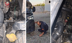 Diyarbakır’da minibüsün motoruna sıkışan yavru kedi kurtarıldı