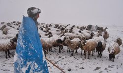 Göçerler kara yaylada yakalandı