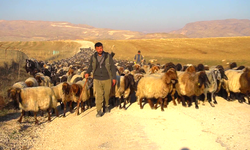 Göçerlerin zorlu kış yolculuğu başladı