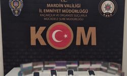 Mardin'de kaçakçılık operasyonu; Gözaltılar var