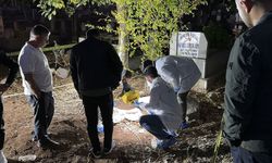 Mezarlıkta bebek cesedi bulundu