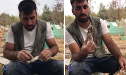 Diyarbakır’da mezarlıktan kefenlenmiş oyuncak bebek çıktı