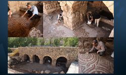 Mardin’de 1500 yıllık mozaik ortaya çıktı