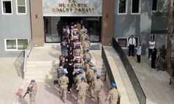 Mardin'de tarlada yanmış cesedin sırrı çözüldü
