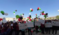 Diyarbakır Bağlar Anadolu Lisesi’nden Filistin’e vicdani destek!