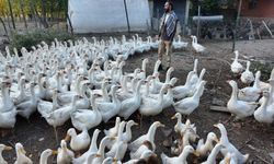 Beslediği kanatlılarla kurduğu bağ görenleri gülümsetiyor