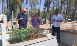 Babasının mezarını 58 yıl sonra buldu