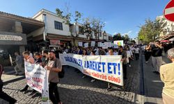 Diyarbakır’da sağlık için yürüyüş