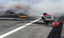 Seyir halindeki TIR alev alev yandı