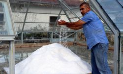 Erzincan’ın dağlarından sofralara doğal bir miras