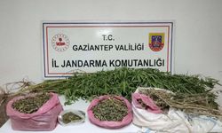 Uyuşturucu operasyonunda 2 tutuklama