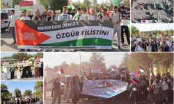 Diyarbakır’da üniversiteli gençler Gazze için yürüdü
